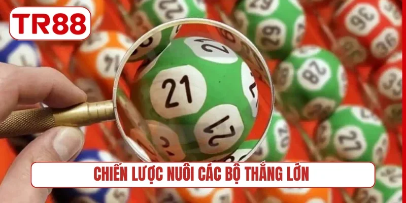 Chiến lược nuôi các bộ thắng lớn