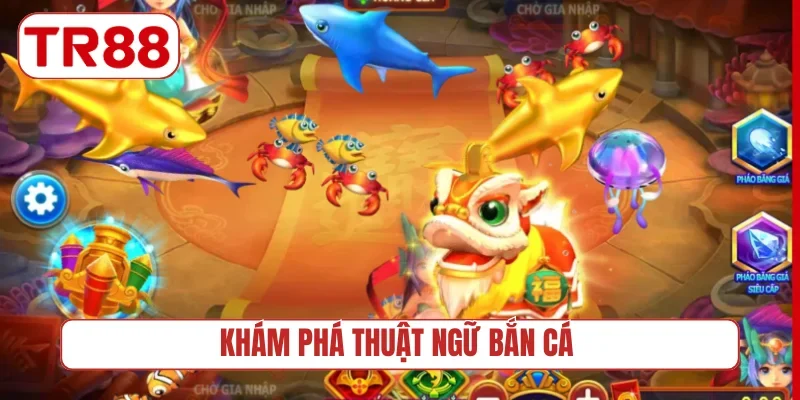 Khám phá thuật ngữ bắn cá