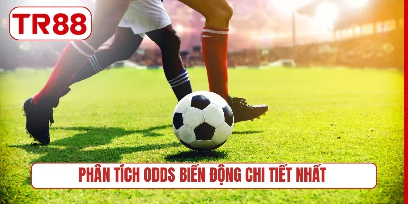 Phân tích Odds biến động chi tiết nhất